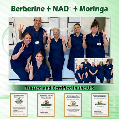 🔥 ¡Quedan solo 10 cajas! ¡30% de descuento adicional! El parche GLORENDA® Moringa · Berberina × NAD+ 10-en-1 es seguro y probado por médicos, ¡solo 4 a 6 parches apoyan peso, azúcar en la sangre, digestión y energía con resultados duraderos!
