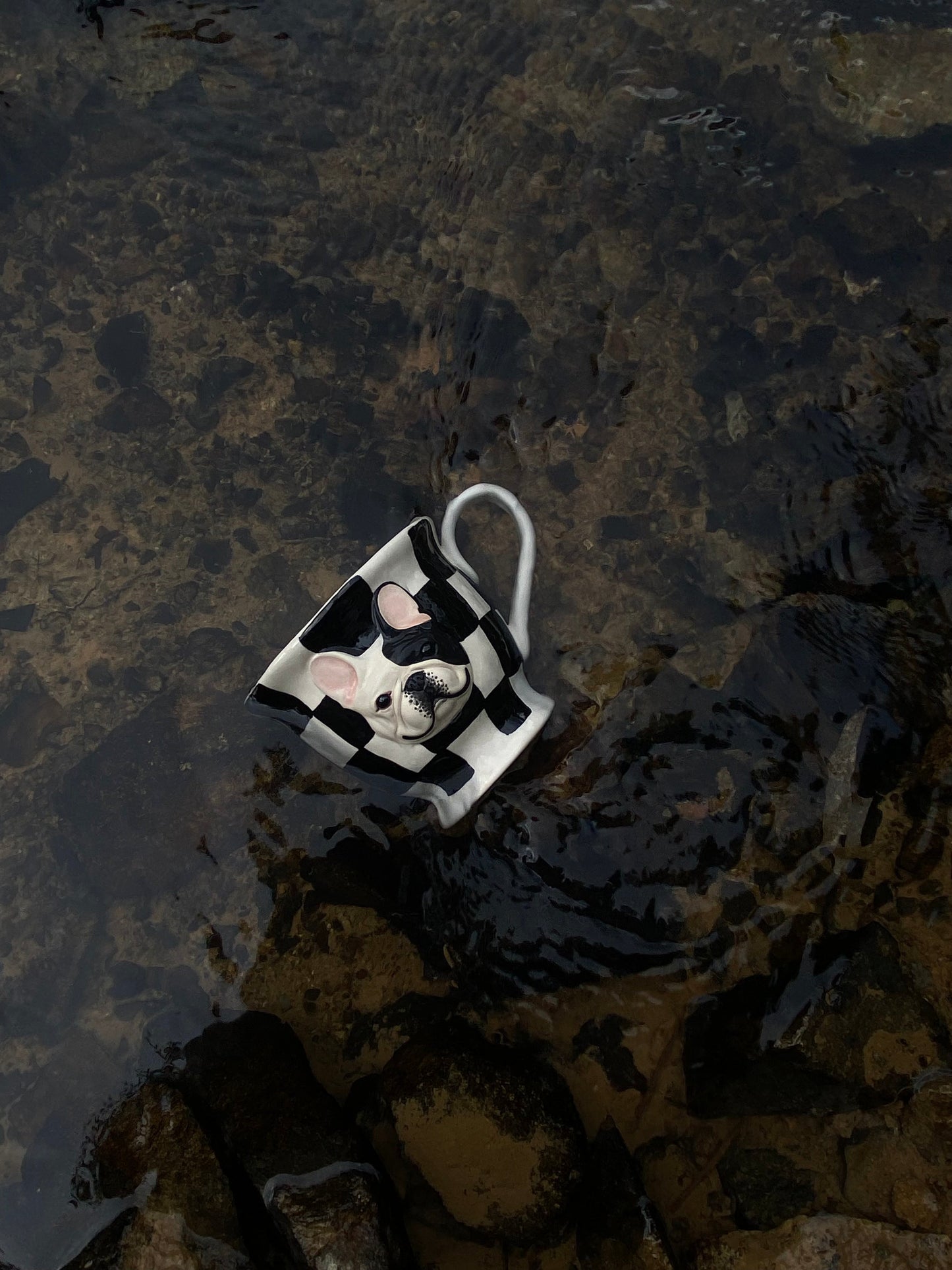 White Café Companion