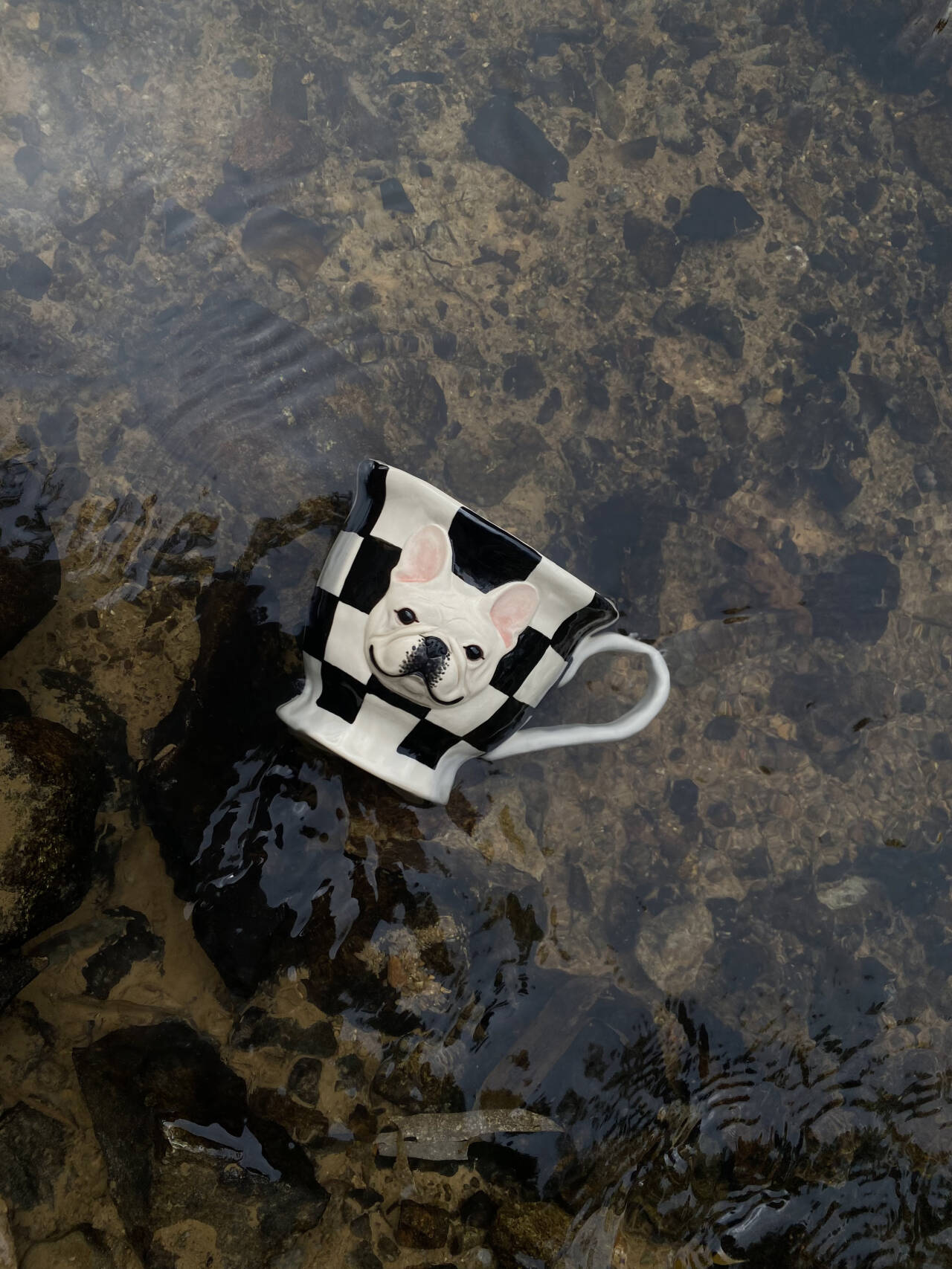 White Café Companion